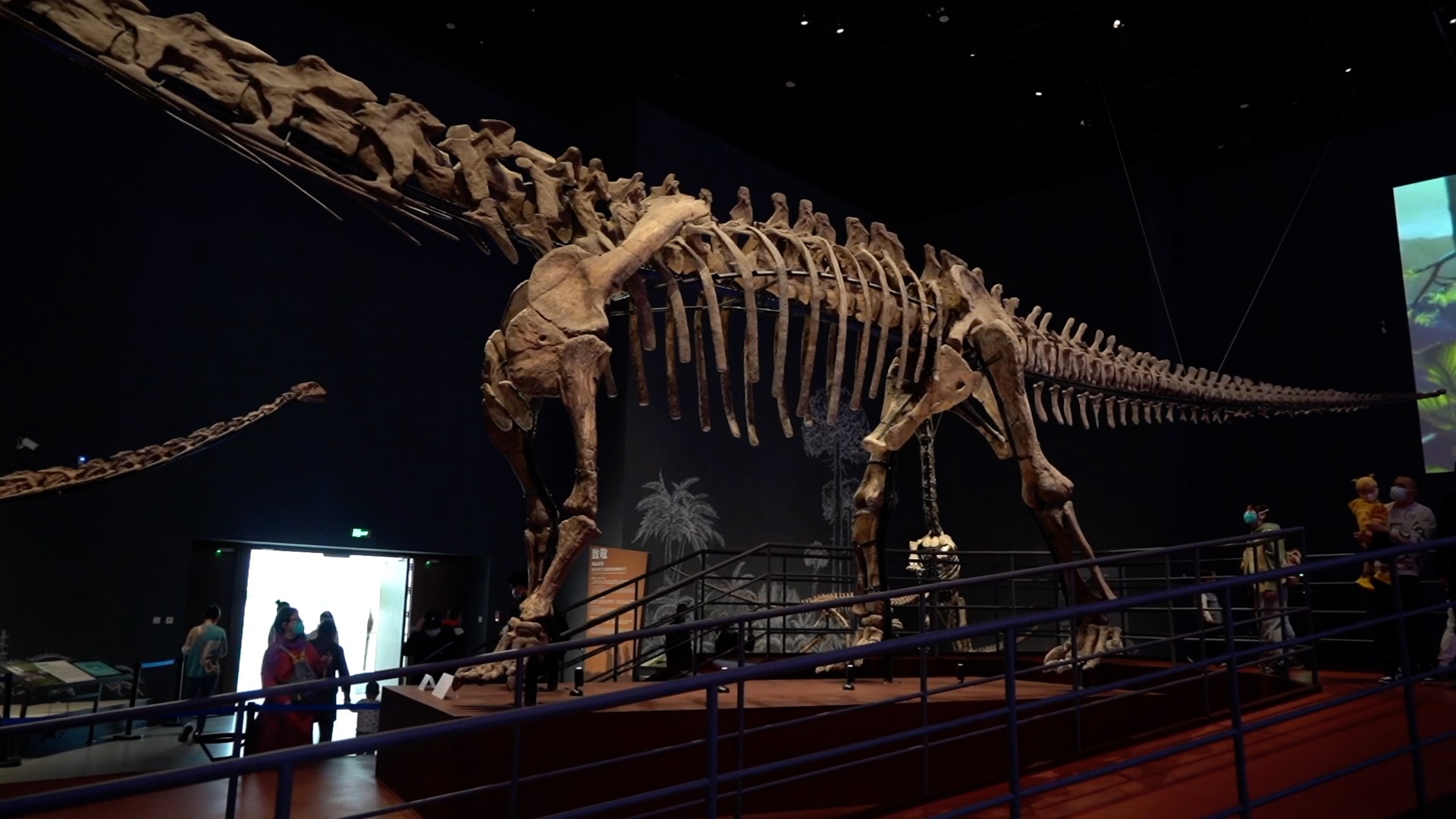 2021河源市博物馆(河源恐龙博物馆)游玩攻略,特别是馆藏16000多枚恐龙蛋化...【去哪儿攻略】