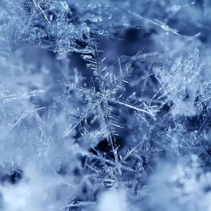 美国首富冷冻50年,本该在2017年复活,现在怎么...