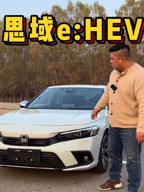 红标本田不新鲜，蓝标思域你们见过么？