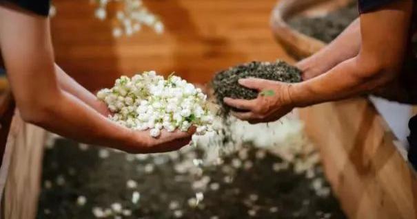 深夜急需好茶怎么办?_全国24小时上门茶省30%费用全流程解密