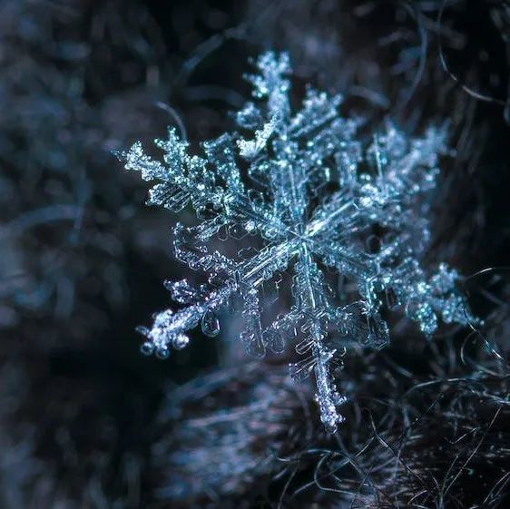 重卡困境反转周期正悄然开始！