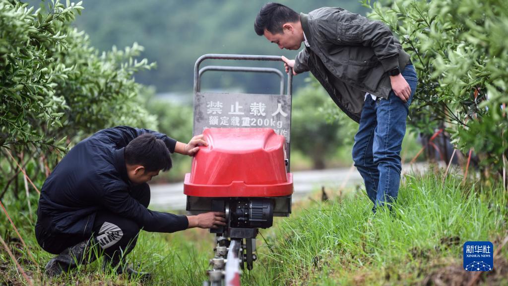 在广西融安县长安镇大坡村的蚂蚁农业电商数字示范基地，韦小东（右）和同事在调试自动运肥车。新华社记者张爱林 摄