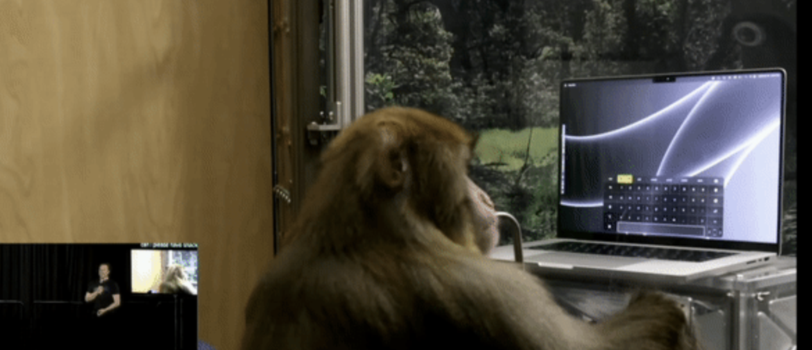 马斯克让猴子学会意念打字！还用人脑模型演示背后原理，电线入脑清晰可见