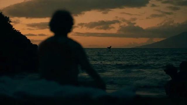 讽刺到灵魂深处!《白莲花度假村》,美国中产的虚伪都被它说透了休闲区蓝鸢梦想 - Www.slyday.coM 讽刺到灵魂深处!《白莲花度假村》,美国中产的虚伪都被它说透了休闲区蓝鸢梦想 - Www.slyday.coM