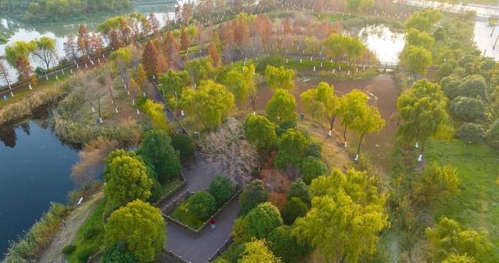 手把手教选ETF：芯片ETF涨+1.9%！汽车芯片新催化来了 将大反弹？