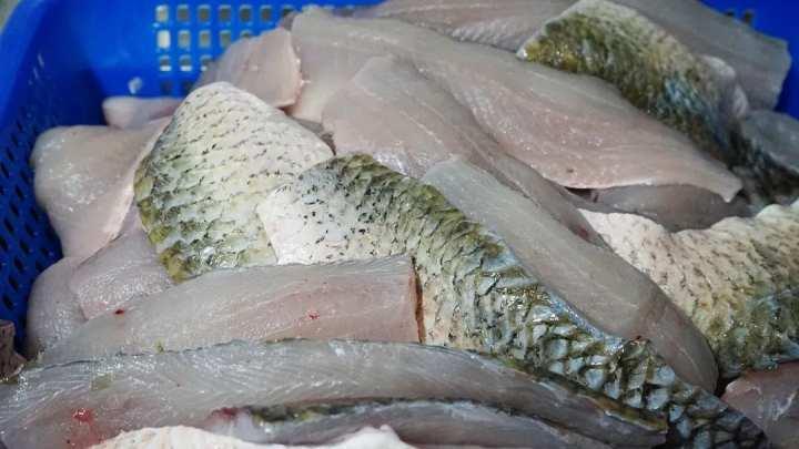 这家菜场里5元一颗的鱼圆太豪华,老板说,都是为了参加比赛休闲区蓝鸢梦想 - Www.slyday.coM 这家菜场里5元一颗的鱼圆太豪华,老板说,都是为了参加比赛休闲区蓝鸢梦想 - Www.slyday.coM