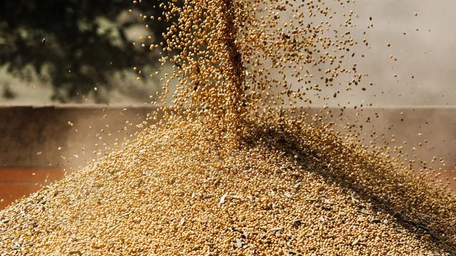 总价值50亿卢布,中俄签订合作大单,中企将在俄滨海地区发展农业休闲区蓝鸢梦想 - Www.slyday.coM 总价值50亿卢布,中俄签订合作大单,中企将在俄滨海地区发展农业休闲区蓝鸢梦想 - Www.slyday.coM