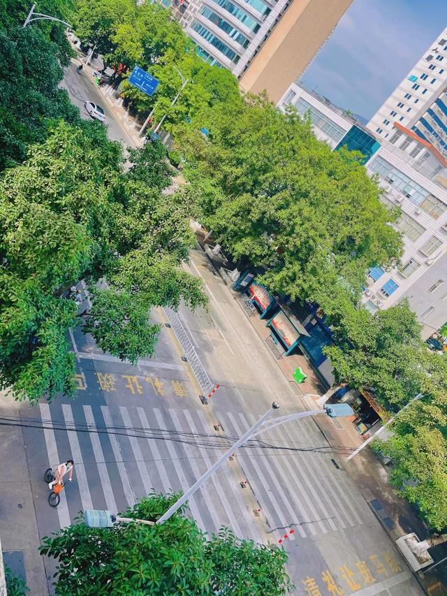 太阳出来了!气温将升至2字头?肇庆未来几日→休闲区蓝鸢梦想 - Www.slyday.coM 太阳出来了!气温将升至2字头?肇庆未来几日→休闲区蓝鸢梦想 - Www.slyday.coM