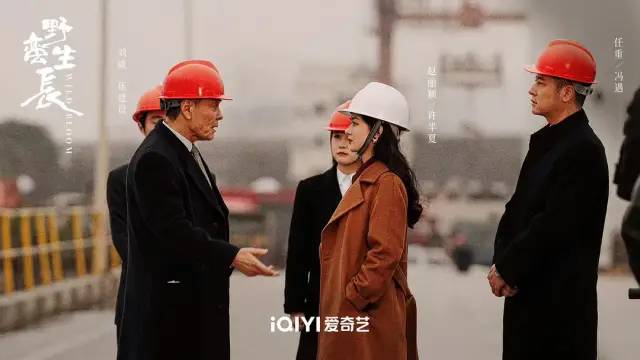 《风吹半夏》爆了,赢麻的不只是赵丽颖休闲区蓝鸢梦想 - Www.slyday.coM 《风吹半夏》爆了,赢麻的不只是赵丽颖休闲区蓝鸢梦想 - Www.slyday.coM