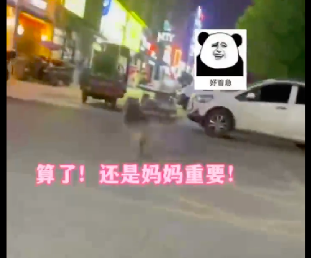 狗狗看见主人走了，连地上的饼干都不要了，立马起身去追休闲区蓝鸢梦想 - Www.slyday.coM