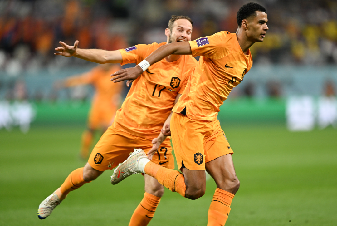 荷兰对阵厄瓜多尔，荷兰队球员科迪·加克波（右）在比赛中进球后庆祝。