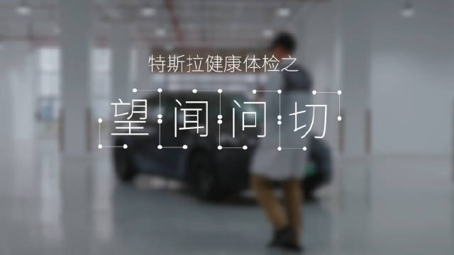 特斯案定制方形抱枕