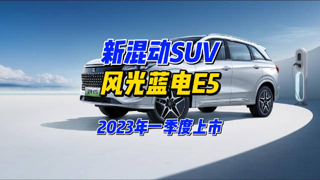 风光蓝电E5官图曝光