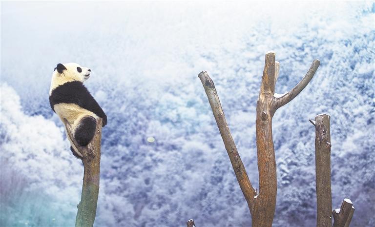 这都可以(古堰画乡摄影作品)古堰画乡写生作品,(图1) 这都可以(古堰画乡摄影作品)古堰画乡写生作品,(图1)