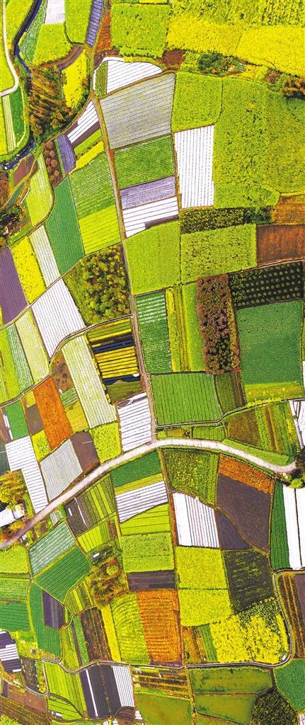 这都可以(古堰画乡摄影作品)古堰画乡写生作品,(图2) 这都可以(古堰画乡摄影作品)古堰画乡写生作品,(图2)