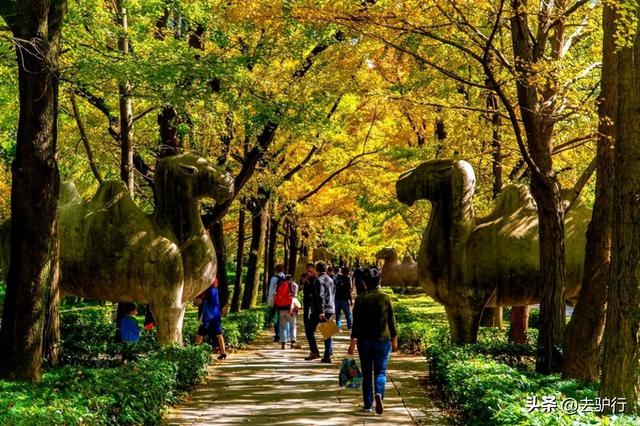 去了南京才知道,江苏省会为什么不是苏州,元旦假期安排起来休闲区蓝鸢梦想 - Www.slyday.coM 去了南京才知道,江苏省会为什么不是苏州,元旦假期安排起来休闲区蓝鸢梦想 - Www.slyday.coM