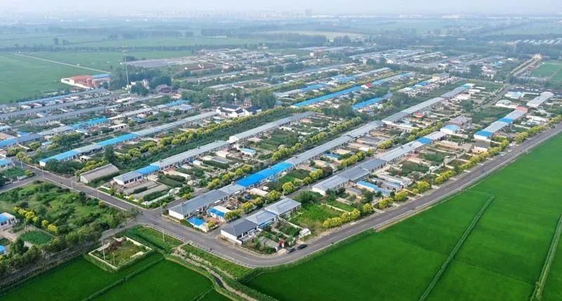 图片来源/新华社