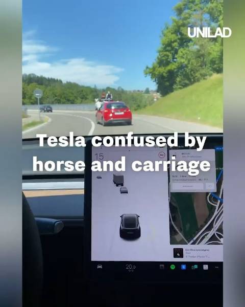 没见过马车的特斯拉！