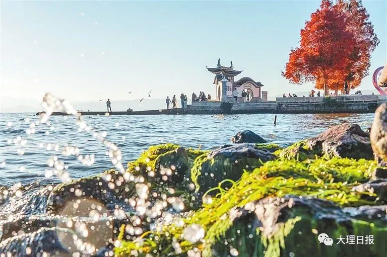 大理旅游强劲复苏迎接高峰