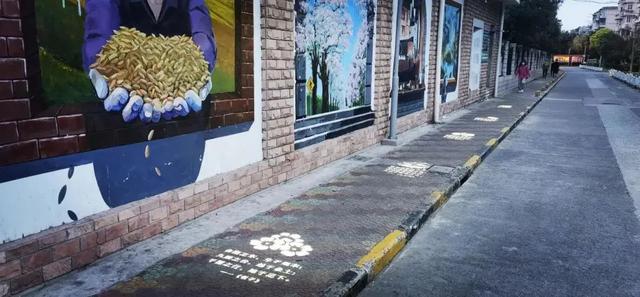 老小区焕发新活力!宝山这个社区的工作心法入选上海社区新型基础设施建设试点案例8 老小区焕发新活力!宝山这个社区的工作心法入选上海社区新型基础设施建设试点案例