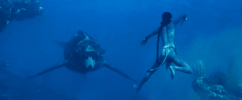 《阿凡达2》的怪鱼都有原型?看电影不看这篇,等于白看!13 《阿凡达2》的怪鱼都有原型?看电影不看这篇,等于白看!