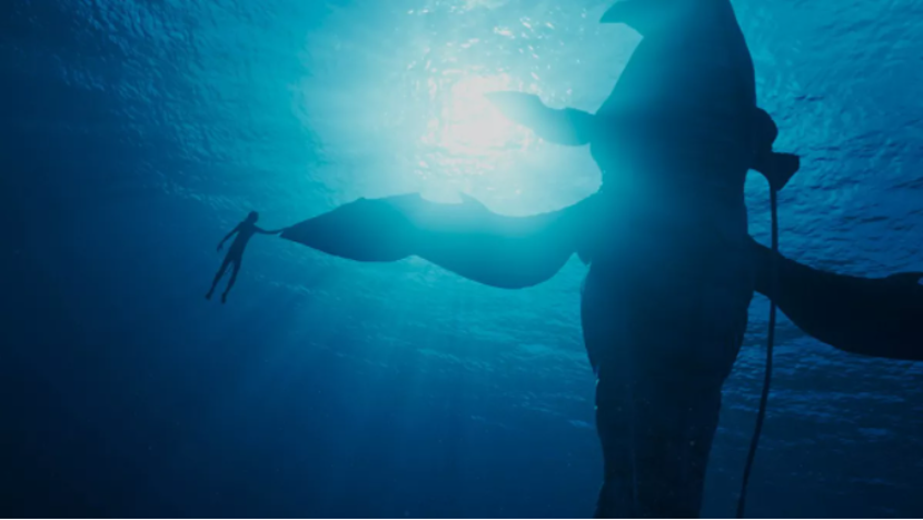 《阿凡达2》的怪鱼都有原型?看电影不看这篇,等于白看!16 《阿凡达2》的怪鱼都有原型?看电影不看这篇,等于白看!