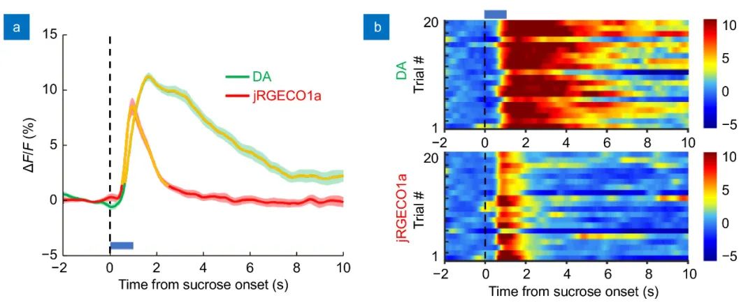 OEA:付玲/罗敏敏报道全光纤多色记录和光遗传系统–监测与操控脑2 OEA:付玲/罗敏敏报道全光纤多色记录和光遗传系统–监测与操控脑