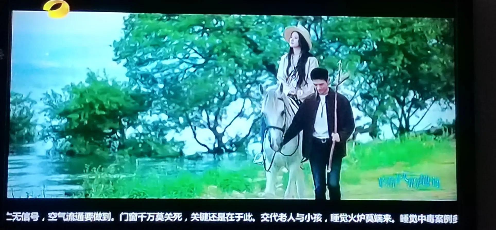《去有风的地方》首播刘亦菲胖上热搜 吴倩演的陈南星死过于突然休闲区蓝鸢梦想 - Www.slyday.coM
