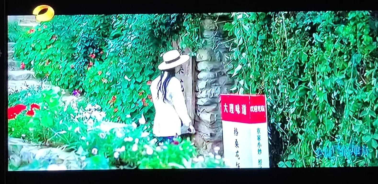 《去有风的地方》首播刘亦菲胖上热搜 吴倩演的陈南星死过于突然休闲区蓝鸢梦想 - Www.slyday.coM