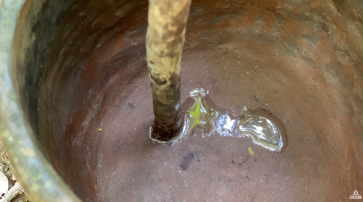 澳洲土法净水……