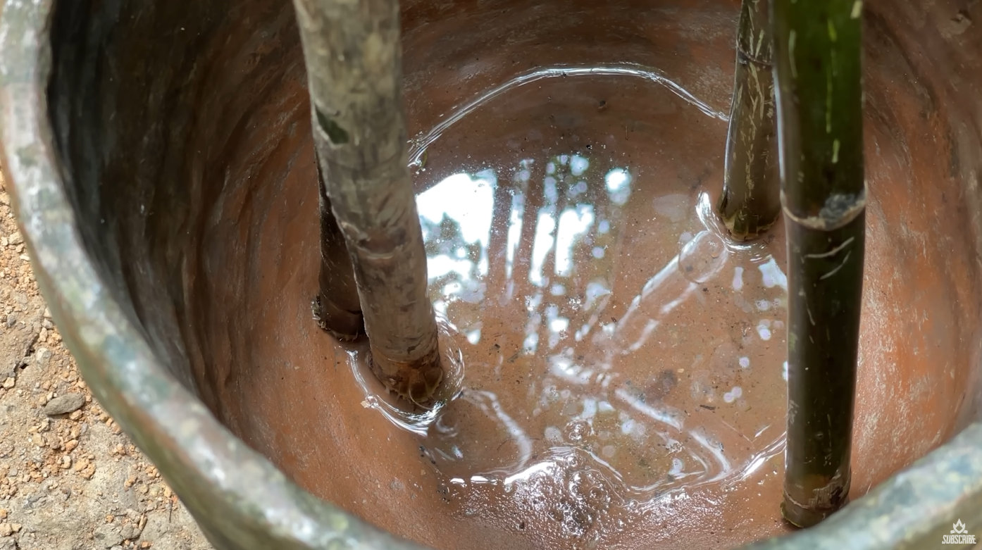 澳洲土法净水……