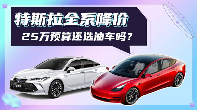 特斯拉全系降价 25万元预算还选油车吗？Model 3对比亚洲龙