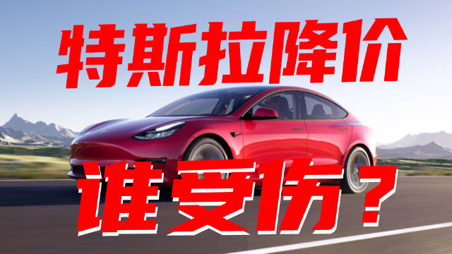 豆车一分钟：特斯拉大幅降价，受伤的到底是谁？