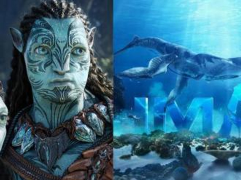 看《阿凡达：水之道》，是杜比影院好还是IMAX好？