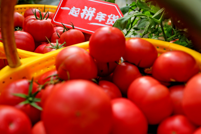 普罗旺斯西红柿内瓤沙甜。王晓峰 摄