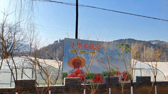 走进乡村-探索互联网背景下的乡村旅游|互联网|乡村振兴|山东省_新浪新闻