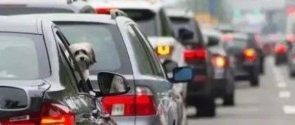 长途出行这些你用的上！