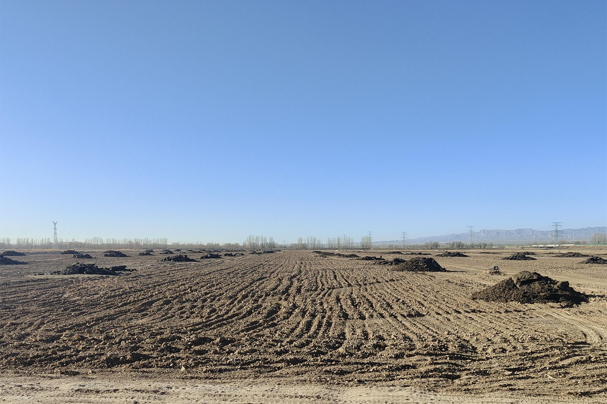 平吉堡农场:粪肥就地消纳就近还田 夯实产业基础1 平吉堡农场:粪肥就地消纳就近还田 夯实产业基础