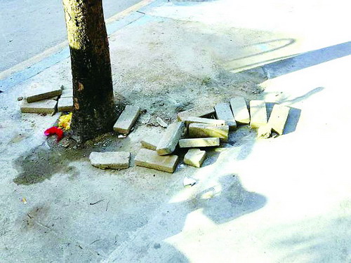 全市争创全国文明典范城市工作考评成绩通报 重点抓好问题整改休闲区蓝鸢梦想 - Www.slyday.coM 全市争创全国文明典范城市工作考评成绩通报 重点抓好问题整改休闲区蓝鸢梦想 - Www.slyday.coM