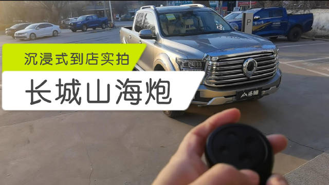 实力至上，平替猛禽！长城山海炮沉浸式到店实拍