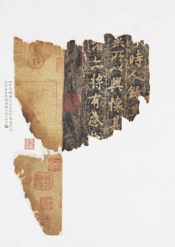 定武兰亭序(独孤本)局部 东京国立博物馆藏 展期:2023年3月14日起展出