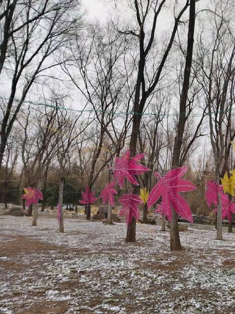 飞飞扬扬的雪花笼罩着整个城市，已经听到孩子们玩乐时的放炮声……