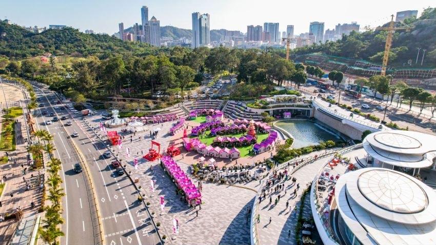 新春年味浓,2023珠海城市阳台首届迎春花集启幕|珠海市|花卉|年货_新浪新闻