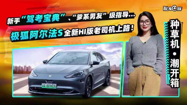 新手驾考宝典、爹系男友级指导……