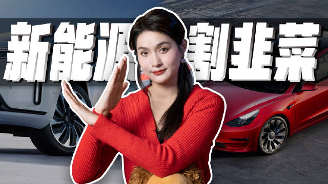 近日由于特斯拉的降价在网络上引起一片哗然……