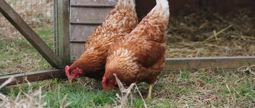 山南微信附近人100一次100块钱：红包、评论和旅游那些事儿