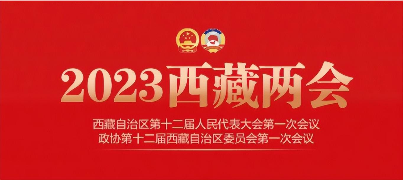 西藏自治区新一届地方国家机构领导人员选举产生