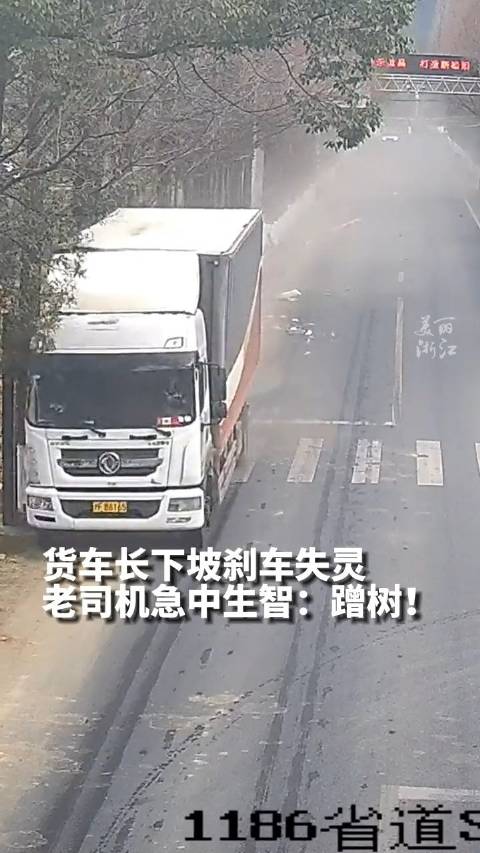 注意定期检查保养！刹车失灵货车司机撞树500米才停下