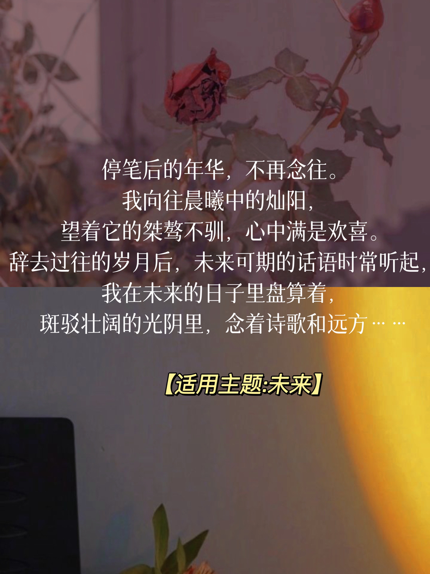 m开头的域名怎么申请