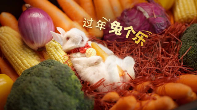 特斯拉菱形兔子灯